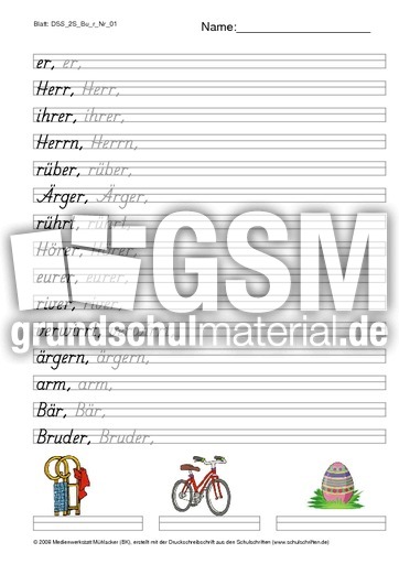 DSS_2S_Bu_r_Nr_01.pdf